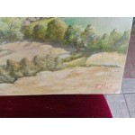 Средна картина масло на фазер Испания - 3824